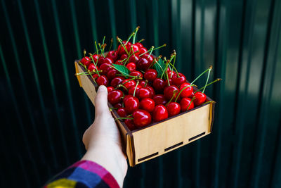 Midsection of person holding strawberries