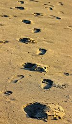 High angle view of footprints on sand at beach