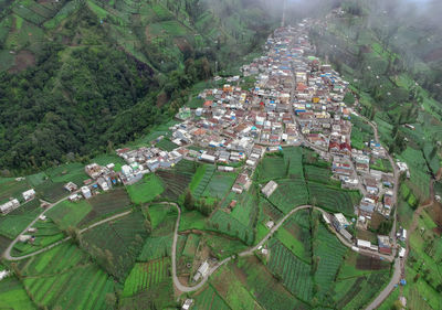 High angle view of trees and buildings in city