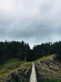 Dirt road amidst trees and plants against sky