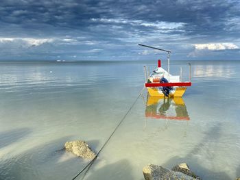 Rear view of man fishing in sea