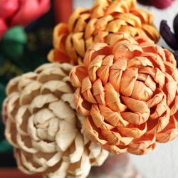 Close-up view of fresh flowers