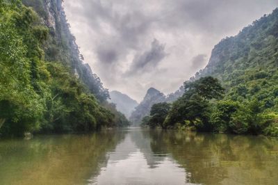 Scenic view of lake by trees against sky