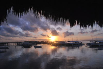 Boats in marina at sunset