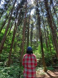 Rear view of woman standing amidst trees in forest