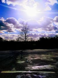 Silhouette bare trees on landscape against sky