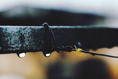 Close-up of water drops on metal