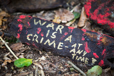 High angle view of text on rock