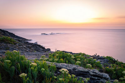 Scenic view of sea against sky during sunset