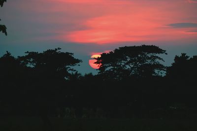 Silhouette trees against sky at night