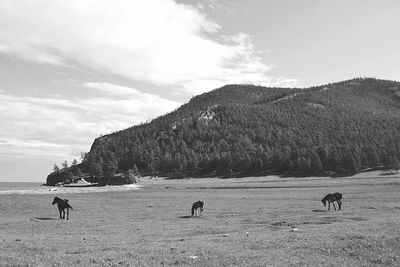 Scenic view of desert against sky