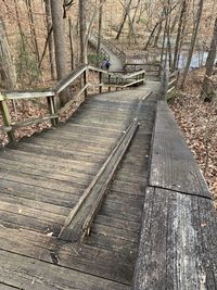 Boardwalk amidst trees in forest