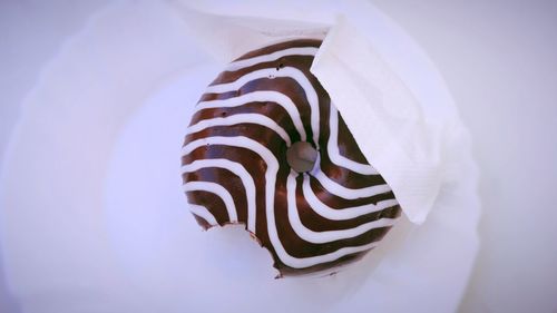 Close-up of white flower