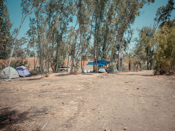 Rear view of people relaxing on field against trees