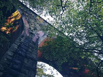 Low angle view of trees against wall