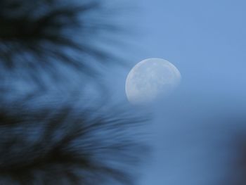 Low angle view of moon in sky