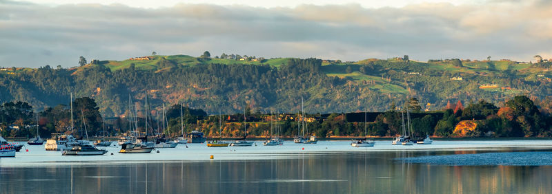 Boats moored in omokoroa channel. looking across from omokoroa to plummers point