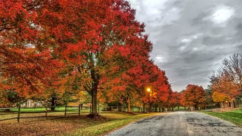 Street amidst trees against sky during autumn