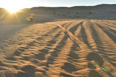  tire tracks off road vehicles or atvs , imperial sand dunes, california, usa