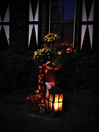 Illuminated candles on tree against building at night