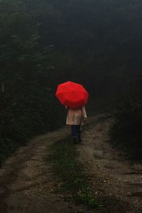 Rear view of person walking on wet road during rainy season