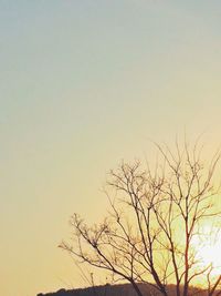 Low angle view of bare trees against clear sky