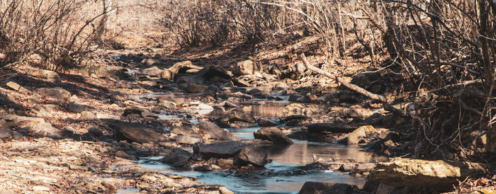 River flowing through rocks in forest