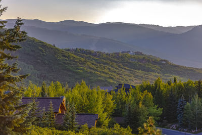 High angle view of trees and mountains against sky