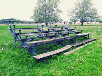 Trees on grassy field