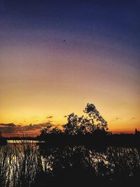 Silhouette trees on field against clear sky during sunset