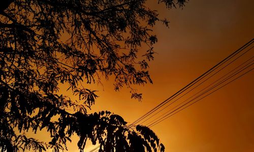 Low angle view of silhouette tree against orange sky