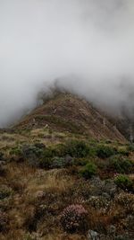 Scenic view of landscape against cloudy sky