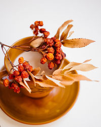 High angle view of flower on table against white background