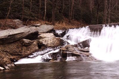 Scenic view of waterfall in forest