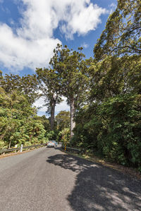 Road amidst trees against sky