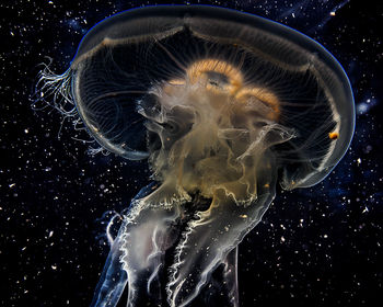 Blurred motion of blurred motion