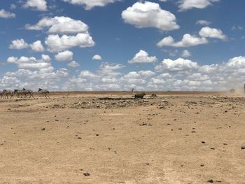 Scenic view of desert against sky