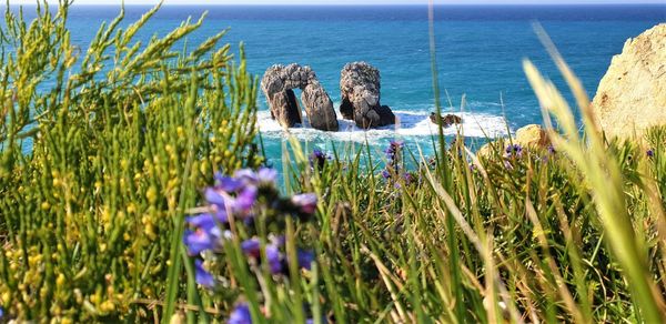 Scenic view of blue sea against sky