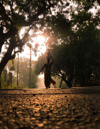 Man walking on street amidst trees in park