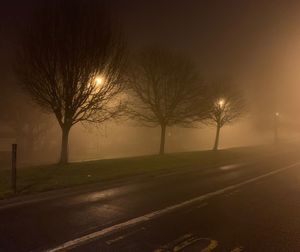 Bare trees by road against sky during foggy weather