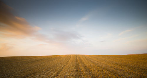 Scenic view of field against sky during sunset