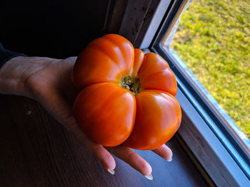 High angle view of hand holding orange