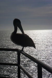 View of sea at sunset