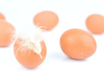 Close-up of oranges over white background