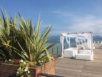 Potted plant on table by sea against sky