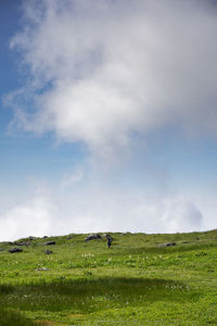 Scenic view of grassy field against sky