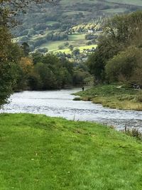 Scenic view of river amidst field