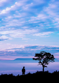 Silhouette man standing on field against sky during sunset