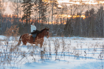 A girl in a white cloak rides a brown horse in winter.