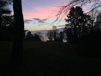 Silhouette trees on field against sky at sunset